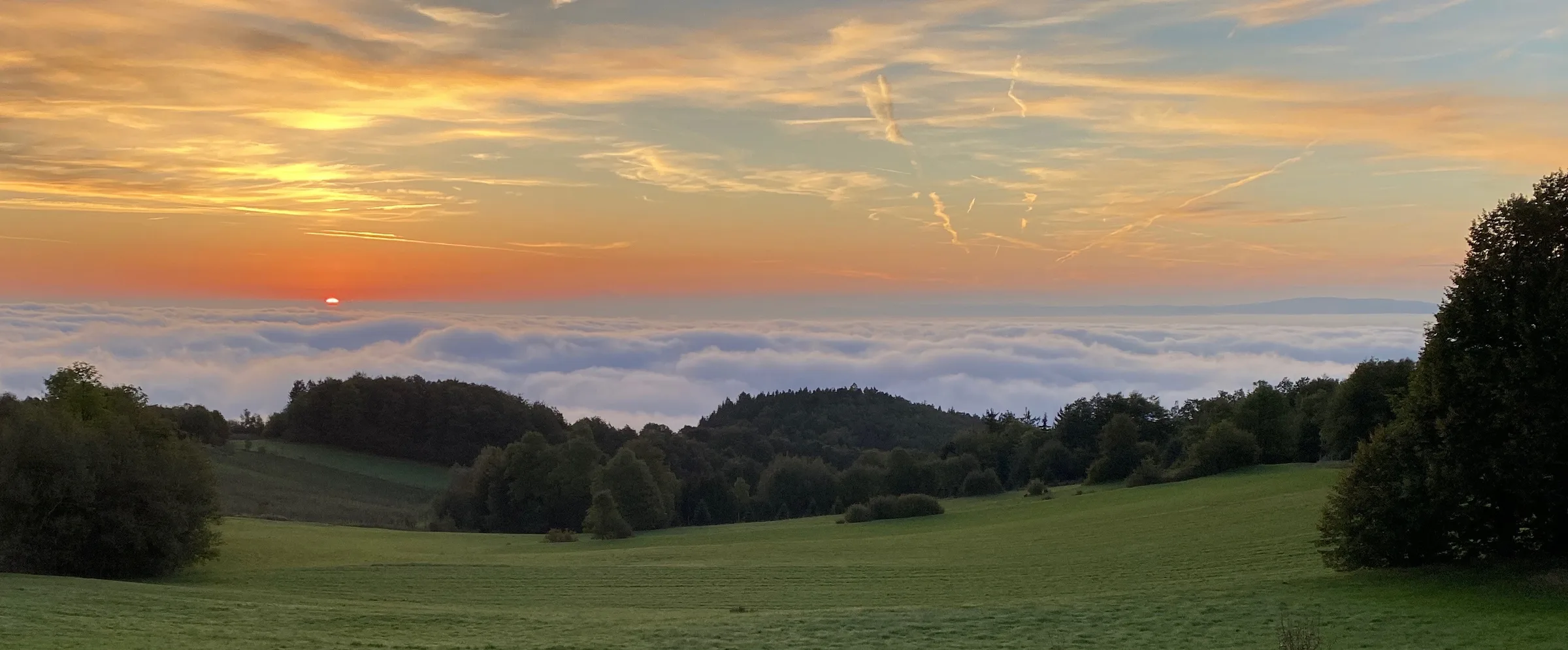 Blick vom Jauerling über die Wachau